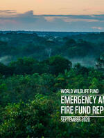 Emergency Amazon Fire Fund Report September 2020 Brochure