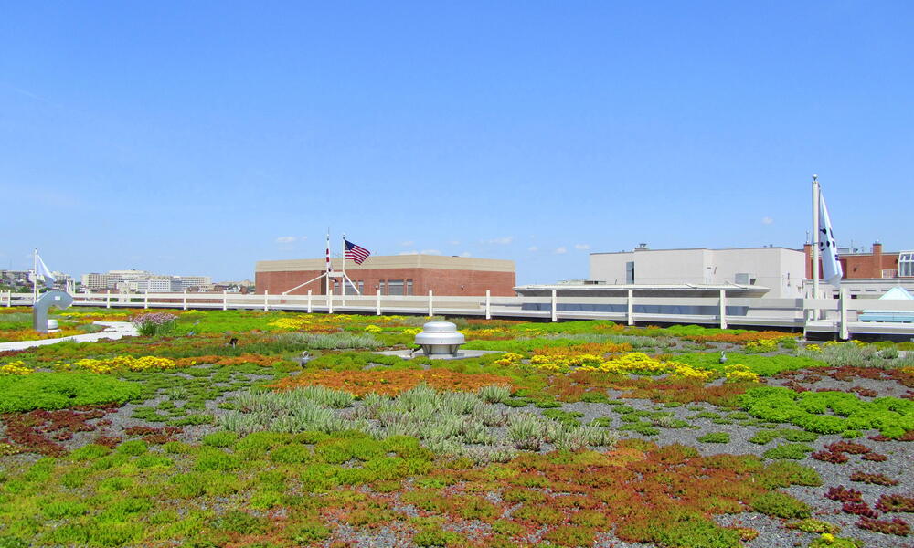 WWF HQ green roof Rooftop Garden American Flag Wide Shot