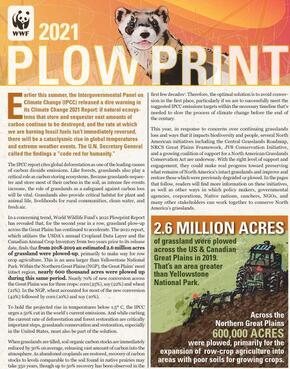 2021 Plowprint cover