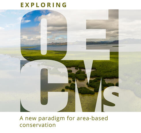 Exploring OECMs, A new paradigm for area-based conservation