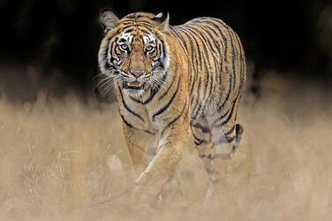 V7d3lfgxfu8h2m V7d3lfgxfu8h2m