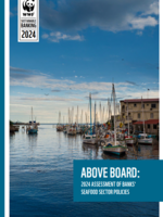 2024: Above Board: Banks' Seafood Sector Policy Analysis Brochure