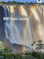 2024 Insider Journey brochure Brochure