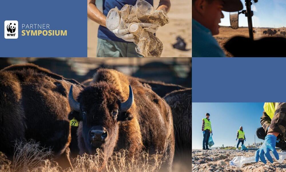 Collage of plastic and great plains imagery
