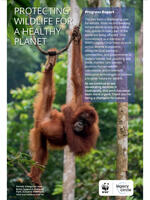 2024 Wildlife Progress Report Brochure