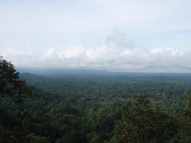 Thirty Hills, Sumatra
