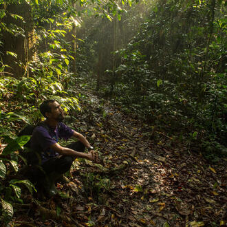 person crouching in the forest looking up at the trees