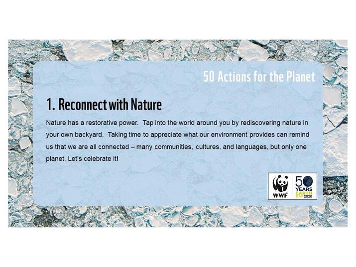 Action 1: Reconnect with nature
