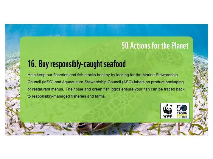 Action 16: Buy responsibly-caught seafood