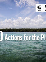 60 Actions for the Planet 2024 Brochure