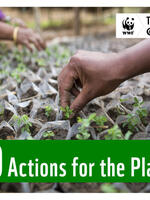 60 Actions for the Planet 2022 Brochure