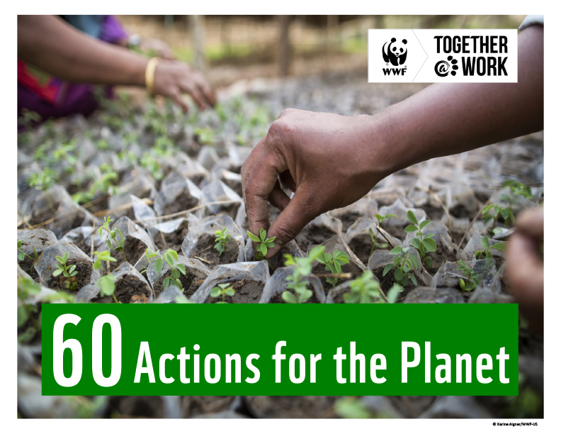 60 Actions for the Planet cover