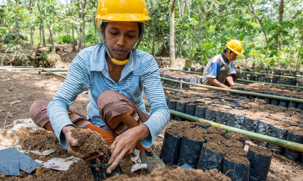A woman in a blue top and yellow hard hat kneels down to fill black potting bags with soil