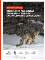 Guidelines for Linear Infrastructure in Snow Leopard Landscapes - Executive Summary Brochure