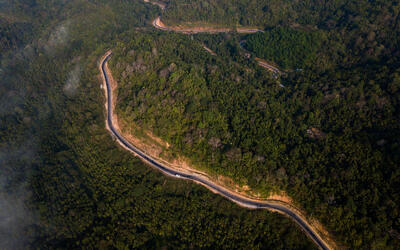 A birds-eye view of a winding roadway cutting through a lush green forest