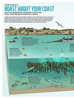 Infographic: Boast About Your Coast Brochure