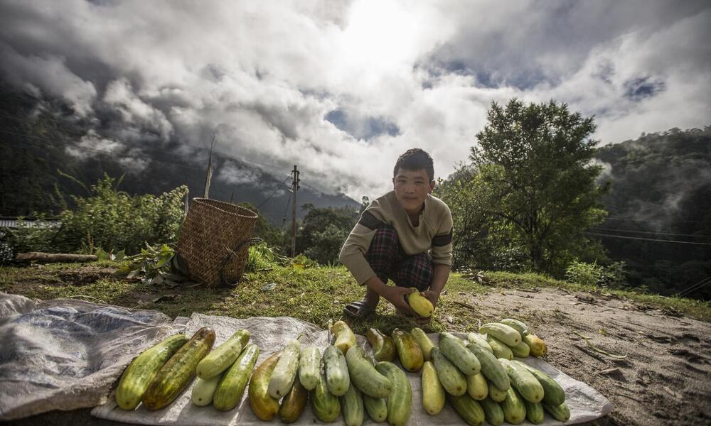 A farmer selling fresh produce