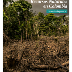 Acciones para promover la Gobernanza Transparente de los Recursos Naturales en Colombia | Una mirada general