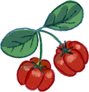 Acerola