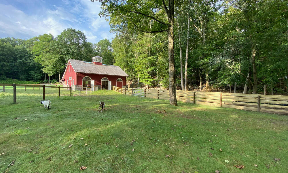 A red barn and a green pasture with goats and trees