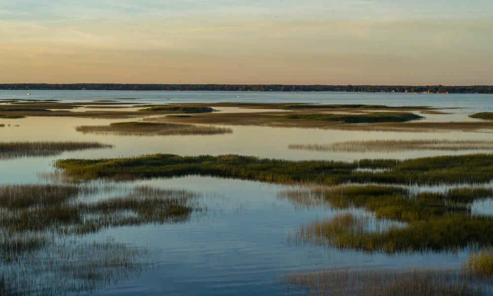 Landscape of wetland