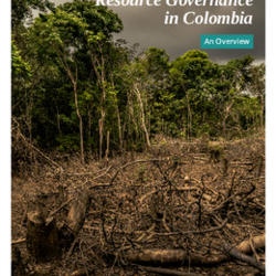 Actions for Promoting Transparent Natural Resource Governance in Colombia | An Overview