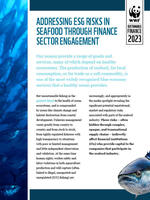 Addressing ESG Risk in Seafood Through Finance Sector Investment Brochure