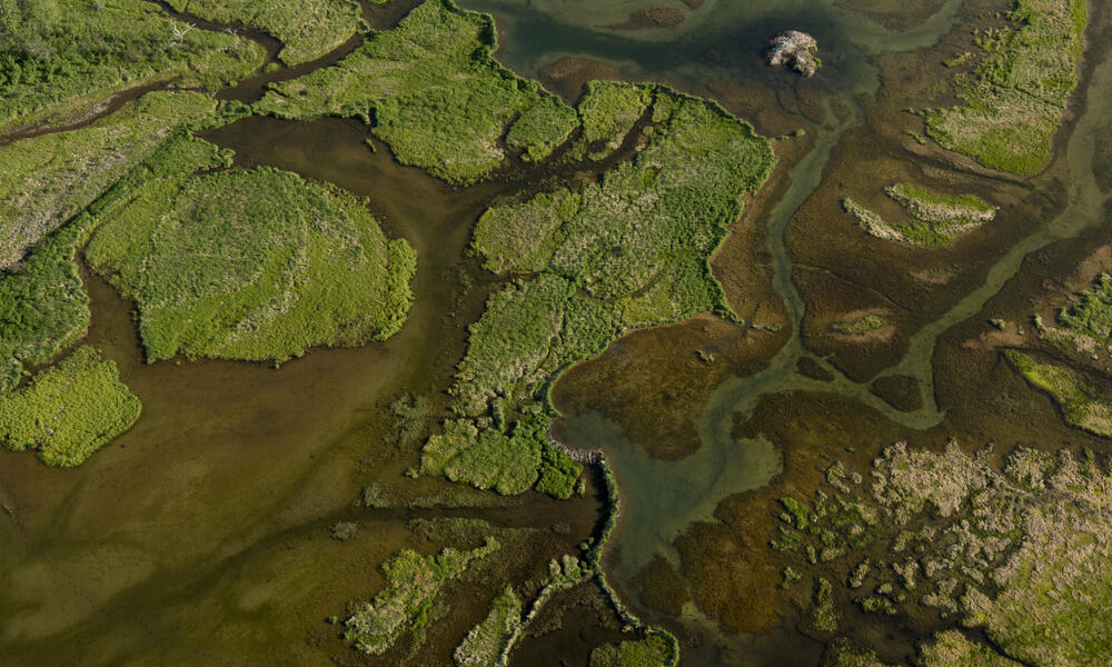 Aerial shot of Bristol Bay