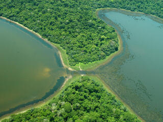 Two lakes in the Pantanal