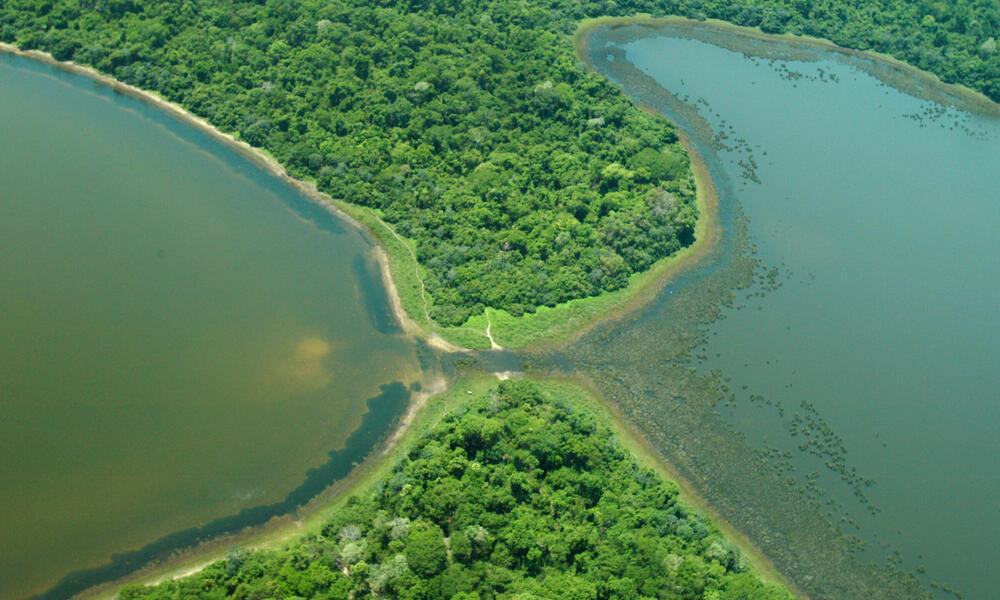 Two lakes in the Pantanal