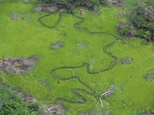 aerial view of the Amazon