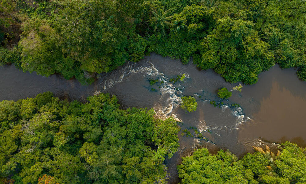 Aerial view. GABON A river in a tropical rainforest.