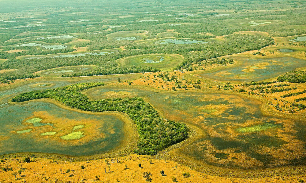 Aerial view of Pantanal in Brazil.