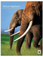 African Elephant: WWF Wildlife and Climate Change Series Brochure