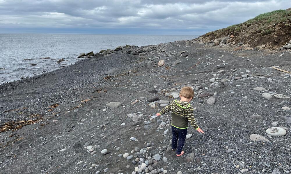A small child in a green coat looks at pebbles on a gray beach with grasses in the background
