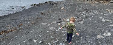 A small child in a green coat looks at pebbles on a gray beach with grasses in the background