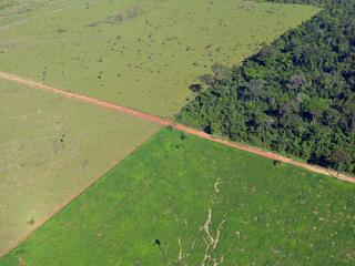 Aerial view cropland outlined adjacent to forests