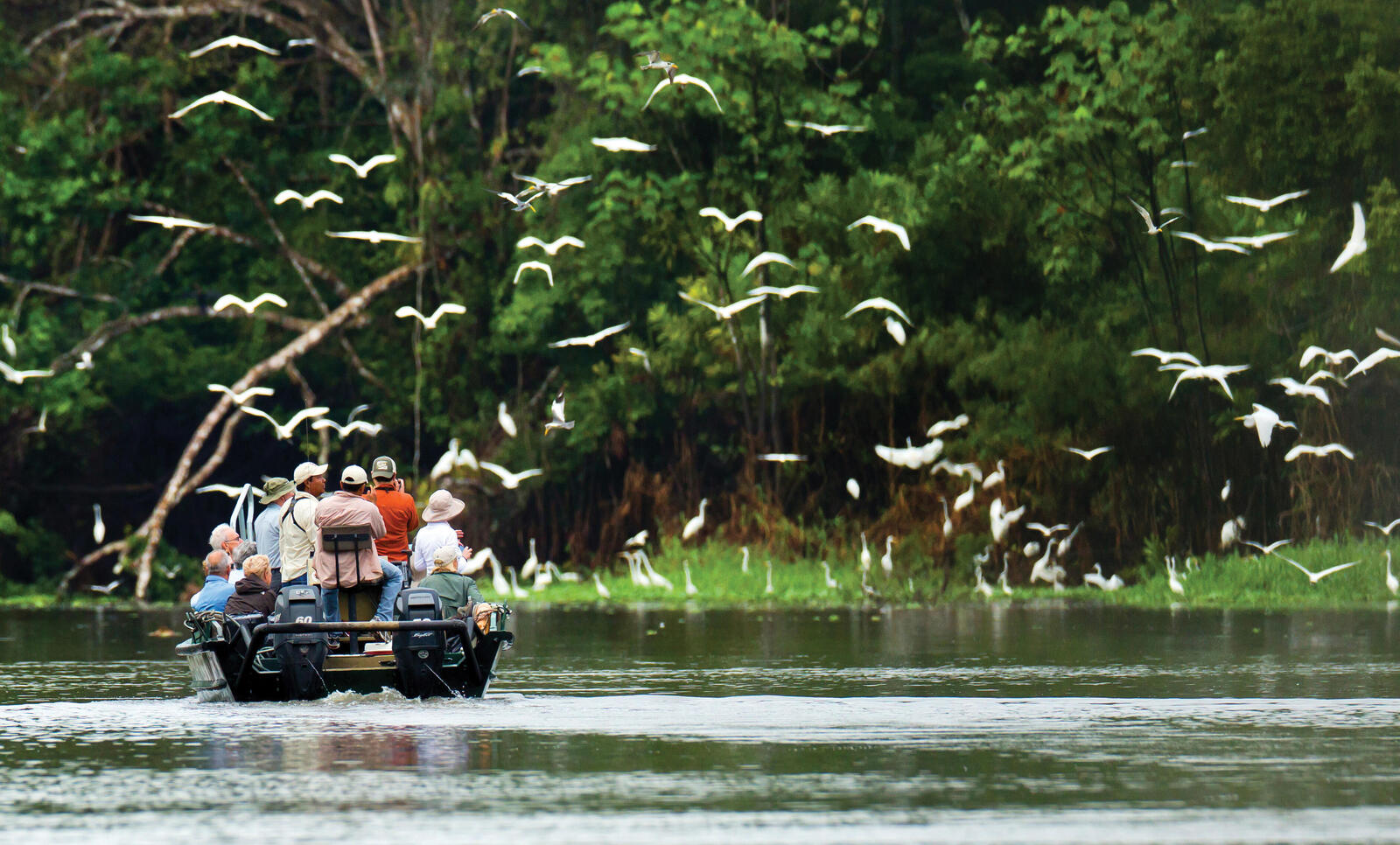 boat in amazon