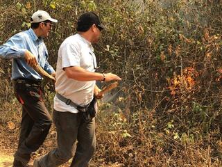 WWF staff look at damage from fires in Bolivia