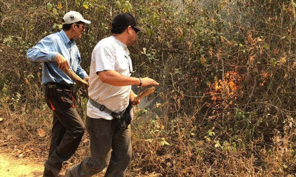 WWF staff look at damage from fires in Bolivia