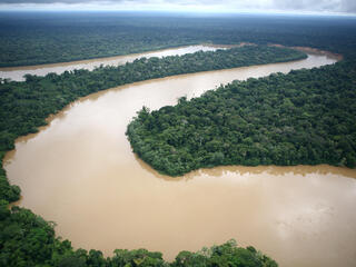 aerial view of the Amazon River
