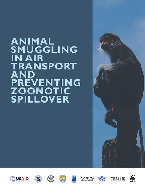 Animal Smuggling Report Cover