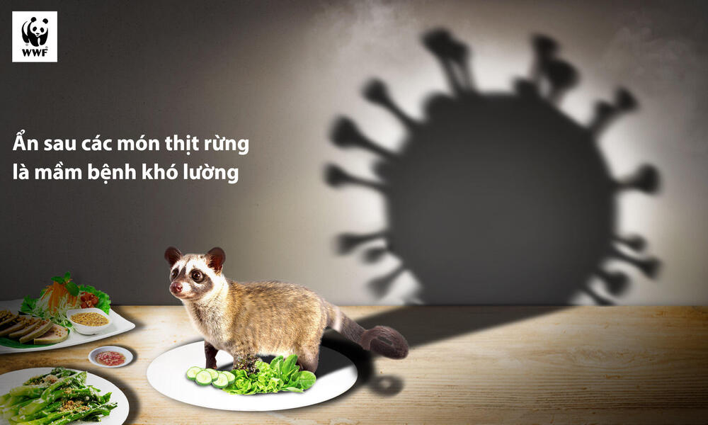 An animal stands on a plate with a shadow of a virus in the background