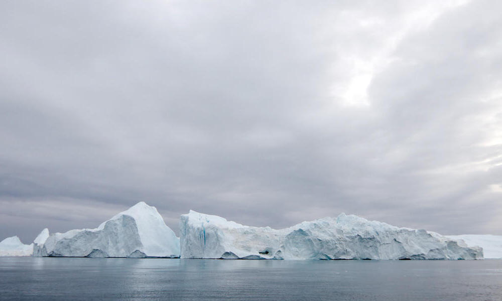 Arctic | Places | WWF