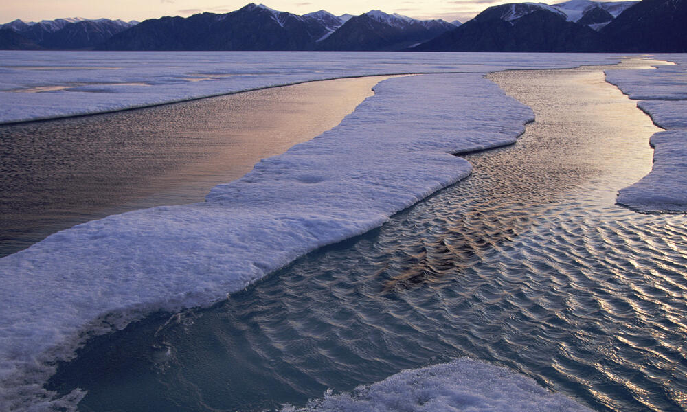 Arctic landscape