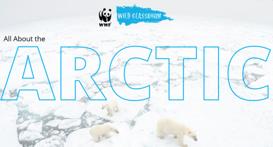 Arctic Educators Resource Guide