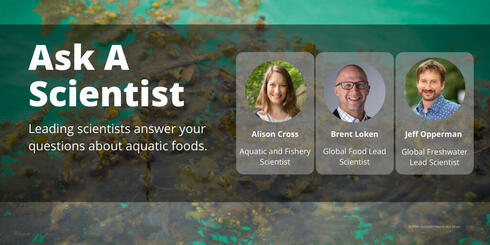 Ask a scientist - Leading scientists answer your questions about aquatic foods - Alison Cross - Brent Loken - Jeff Opperman