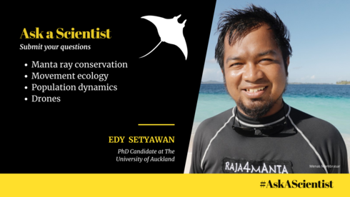 Ask a scientist Submit your questions to Edy Setyawan (photo)