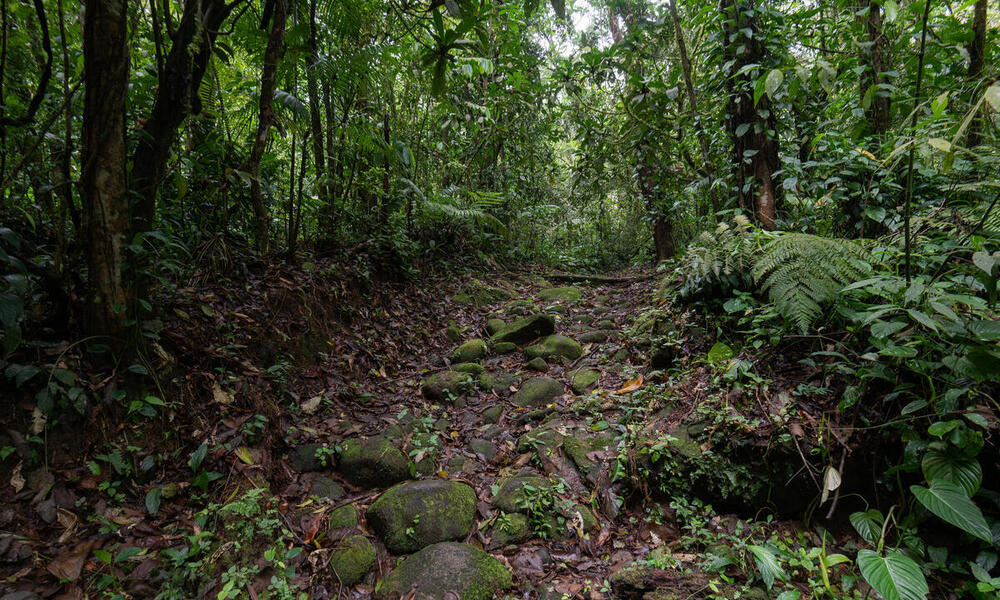 Walking the Path of a Sustainable Future ScienceBased Targets for