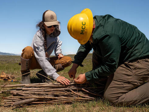 Big Sky Watershed Corps member with Montana Conservation Corp Audrey Wright helps Montana Conservation Corp Member Tanner Daquilante tie a bundle of willows at the J Bar L Ranch in Melville, Montana